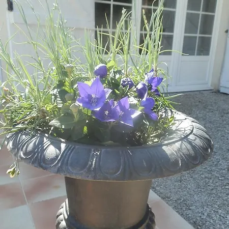 Chambre D'hotes Floralia Отель типа 